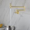 Pot faucet wall-mounted faucet (gold)